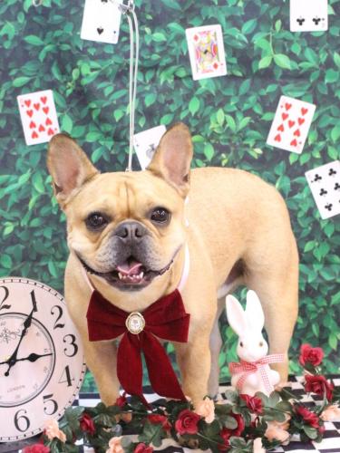 20250408力也くん